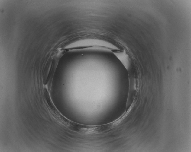 X0000084550170200703091729