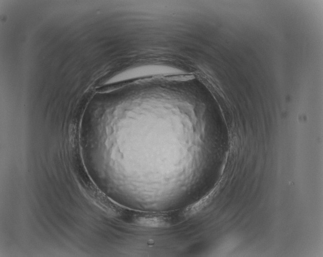 X0000084550171200703091729