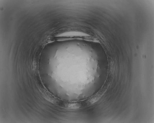 X0000084550173200703091729