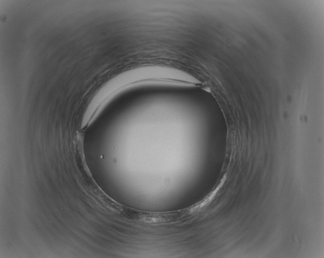 X0000084550174200703091729