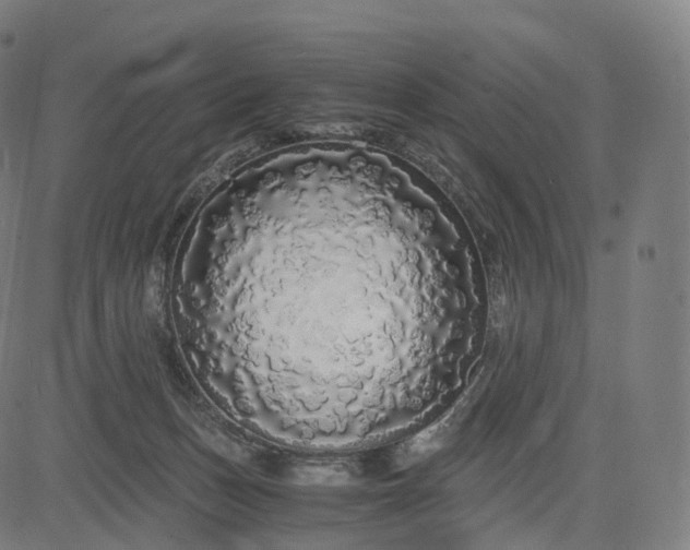 X0000084550175200703091729