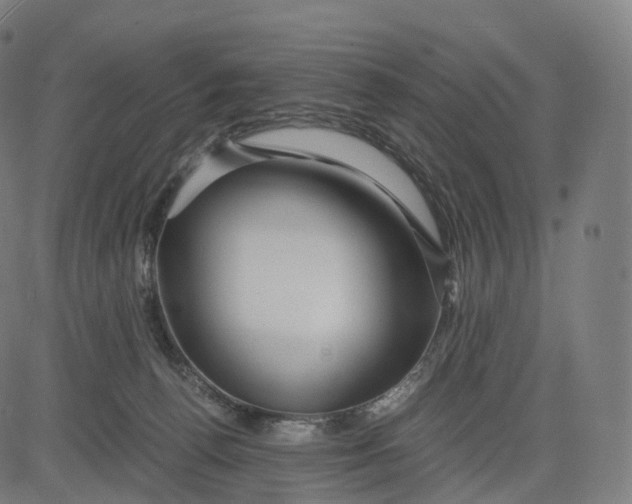 X0000084550176200703091729