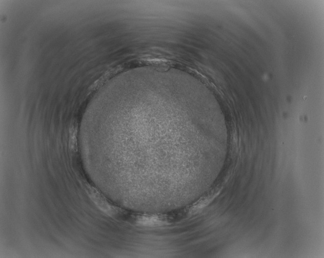 X0000084550177200703091729