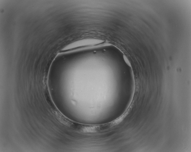 X0000084550178200703091729