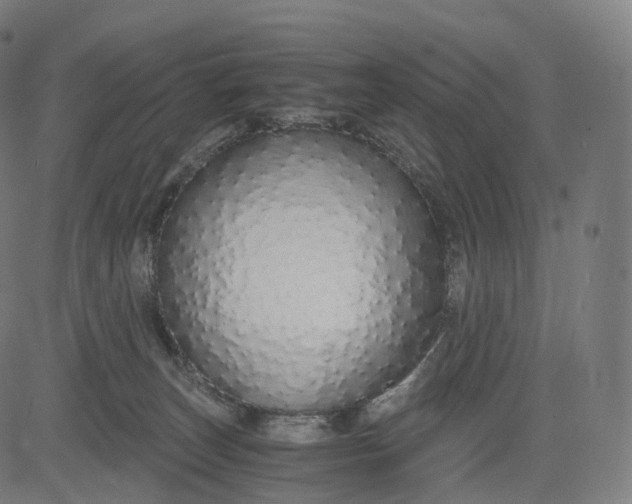 X0000084550179200703091729