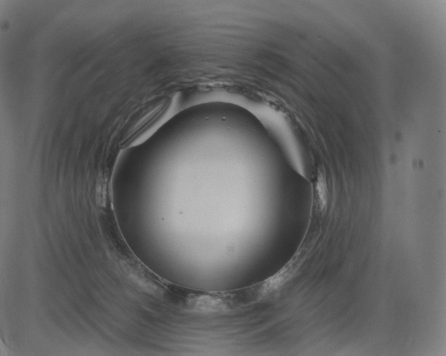 X0000084550180200703091729