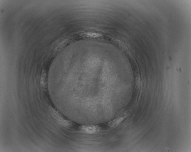 X0000084550181200703091729