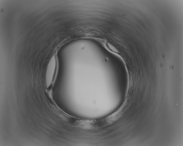 X0000084550182200703091729