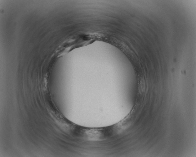 X0000084550183200703091729