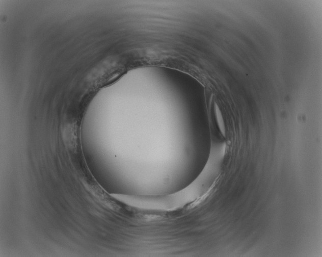 X0000084550184200703091729