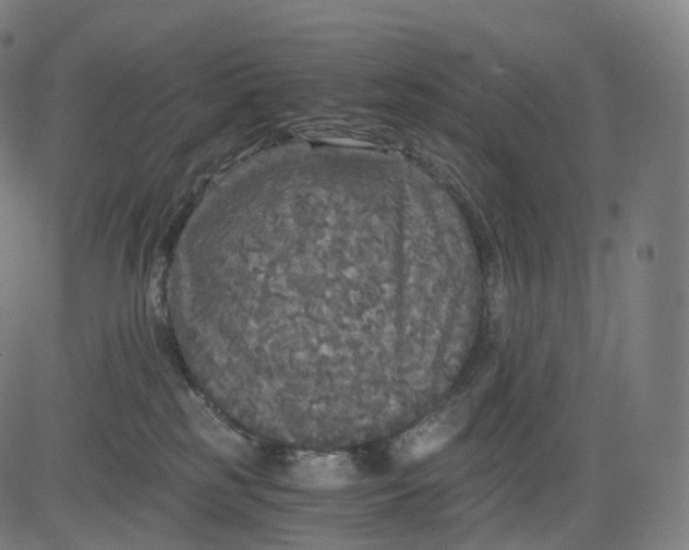 X0000084550185200703091729