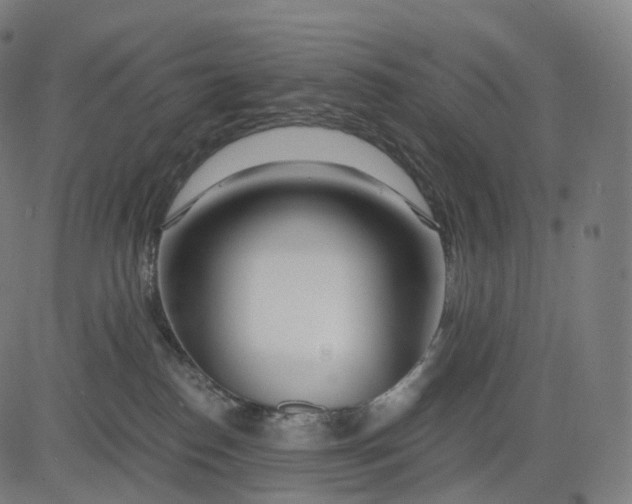 X0000084550186200703091729