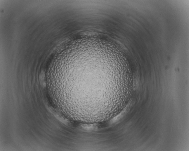 X0000084550187200703091729