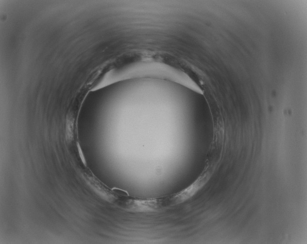 X0000084550188200703091729