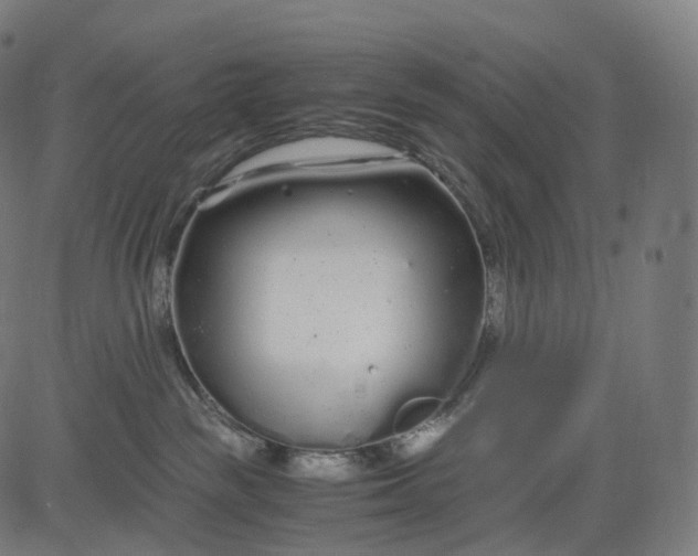 X0000084550189200703091729