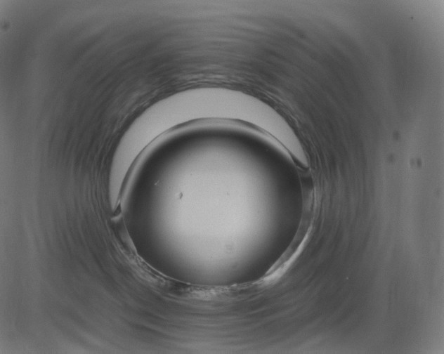 X0000084550190200703091729