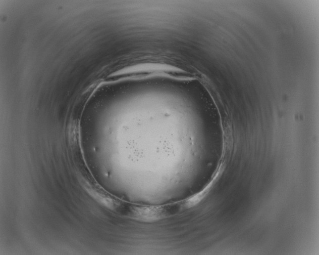 X0000084550191200703091729