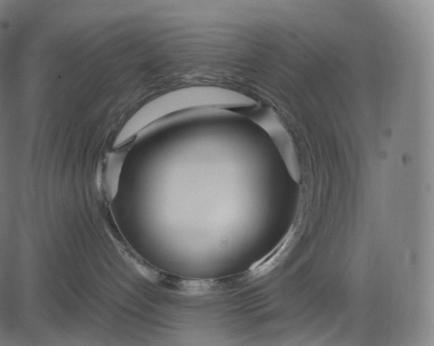 X0000084550192200703091729