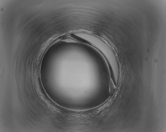 X0000084550193200703091728