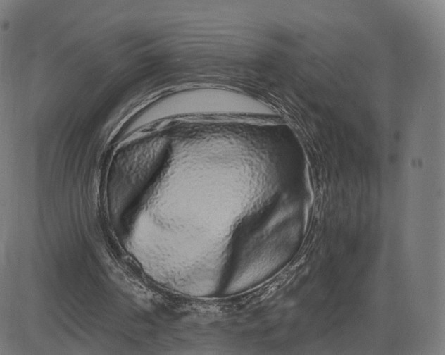 X0000084550194200703091728