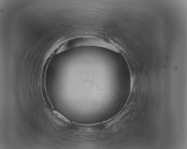 X0000084550195200703091728