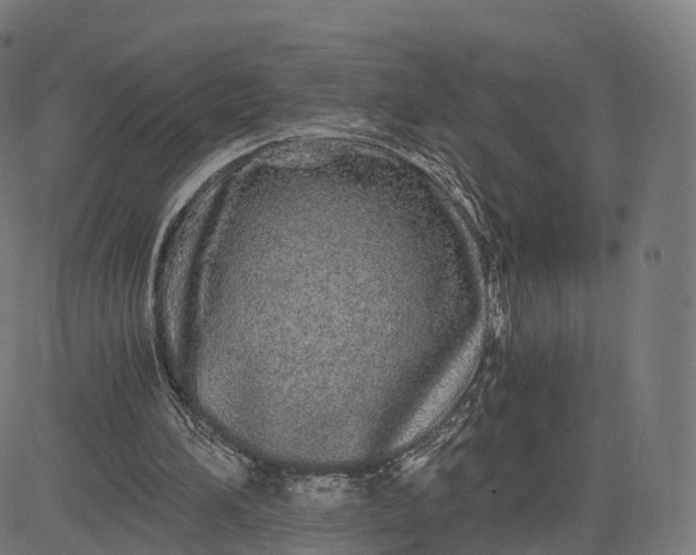 X0000084550196200703091728