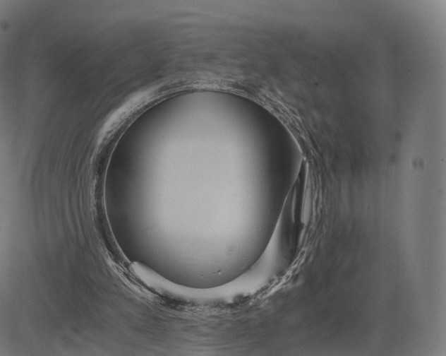 X0000084550197200703091728