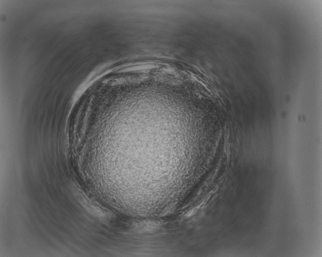 X0000084550198200703091728