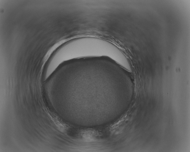 X0000084550200200703091728