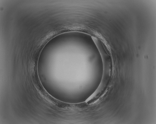 X0000084550201200703091728