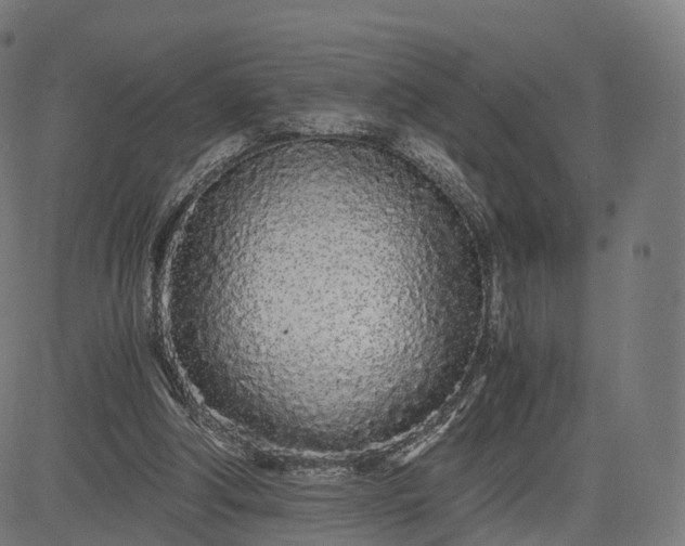 X0000084550202200703091728