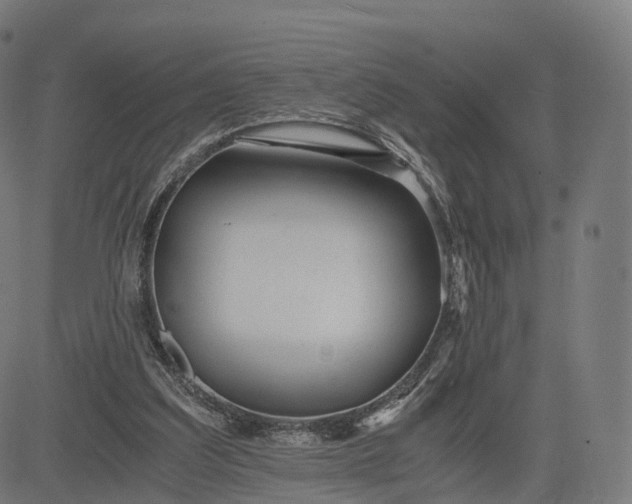 X0000084550203200703091728