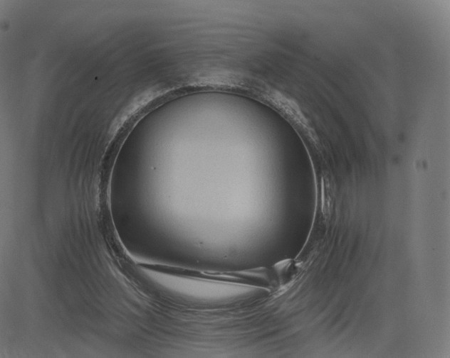 X0000084550204200703091728