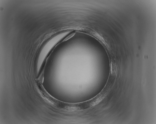 X0000084550205200703091728