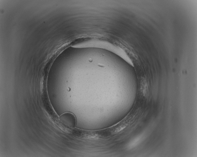 X0000084550206200703091728