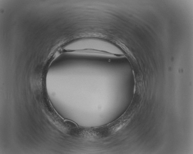 X0000084550207200703091728