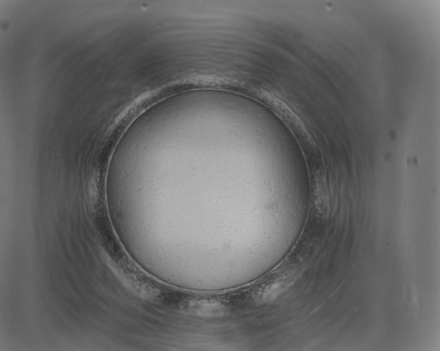 X0000084550208200703091728