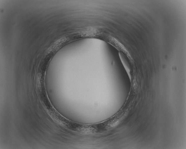 X0000084550209200703091728