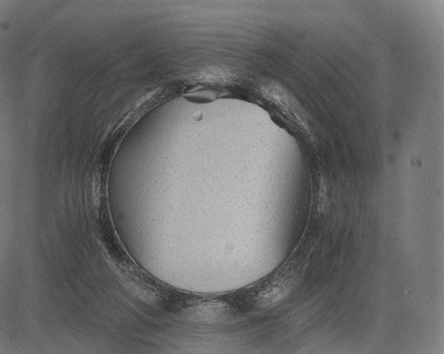 X0000084550210200703091728