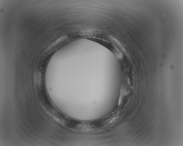 X0000084550211200703091728