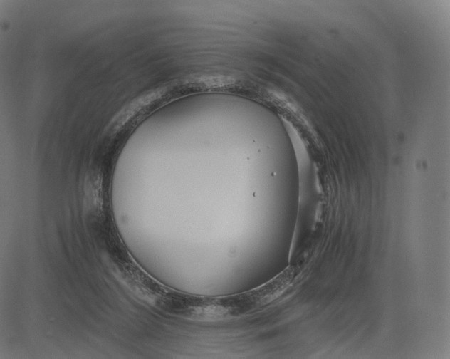 X0000084550212200703091728