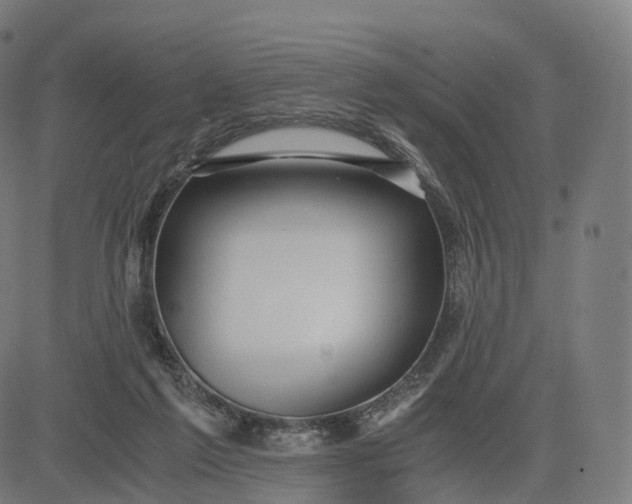 X0000084550213200703091728