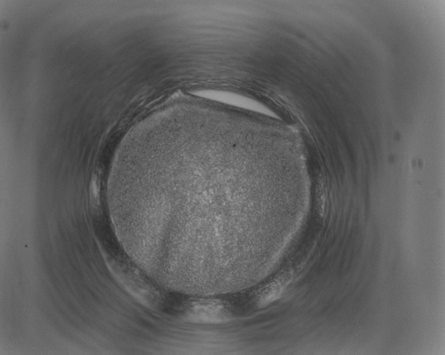 X0000084550214200703091728