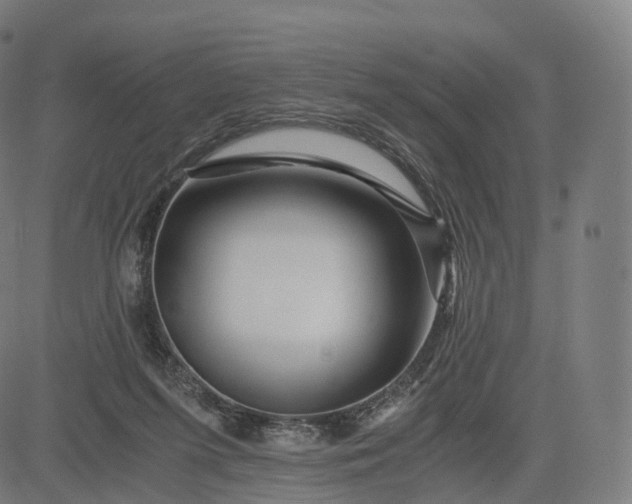 X0000084550215200703091728