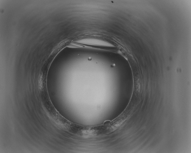 X0000084550216200703091728