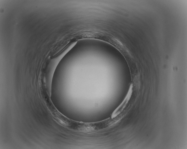 X0000084550217200703091728