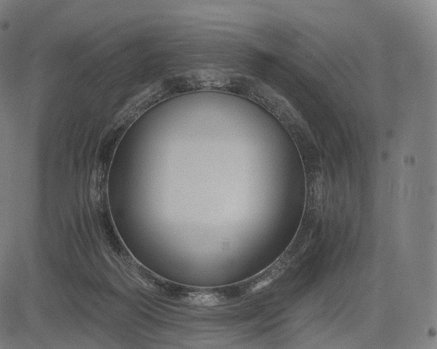 X0000084550218200703091728