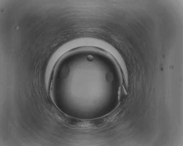 X0000084550219200703091728