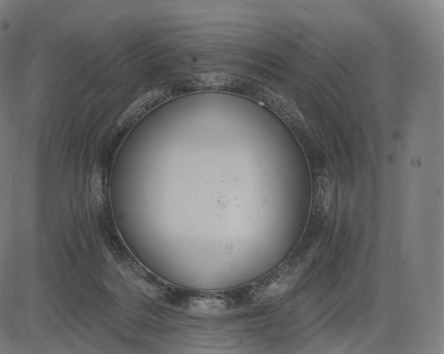 X0000084550220200703091728