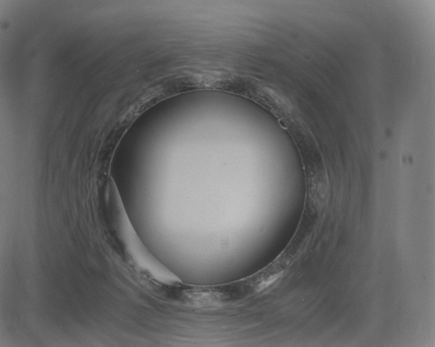 X0000084550221200703091728